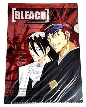 bleach ブリーチ　 2013 ポスター 朽木白哉　阿散井恋次　1枚 61yCZX+gtEL._UF350,350_QL50_.jpg